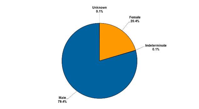 Gender of offenders as at 30 Sept 2014: 20.4% were Female; 0.1% were Indeterminate; 79.4% were Male; 0.1% were Unknown.