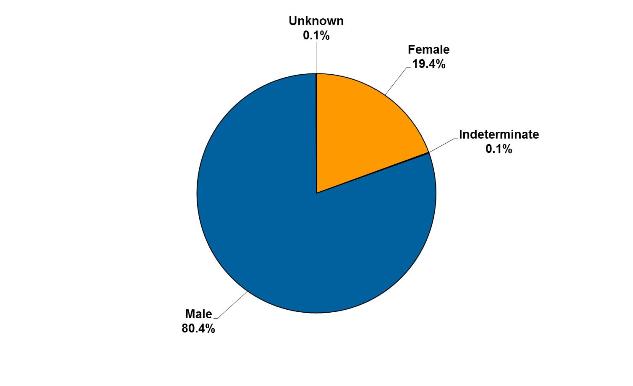 Pie graph showing gender of offenders serving community sentences and orders
