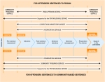 Offender Management Process Thumbnail. 