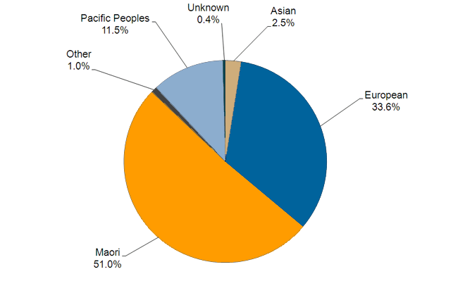 A graph showing the proportion of different ethnicities that make up the prison population. 