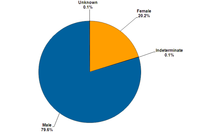 Of the offenders serving community sentences as at December 2010, 79.6% were male and 20.2% were female. 