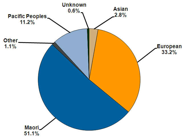 A graph showing the percentages for ethnicity of prisoners.