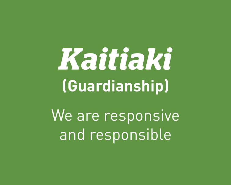 Practice value - Kaitiaki (Guardianship): We are responsive and responsible.