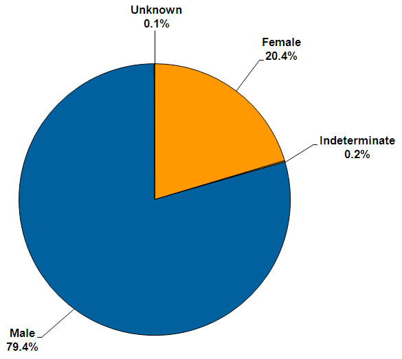 A graph showing the percentages for gender of offenders serving community sentences and orders.