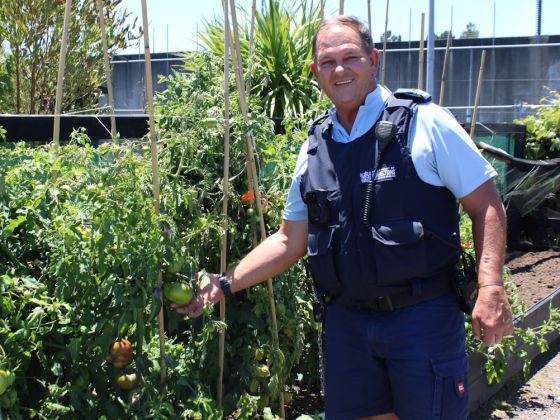 Horticulture offers future after prison  image