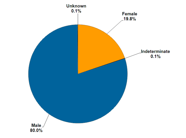 A graph showing the breakdown of the gender of offenders serving sentences and orders in the community. 