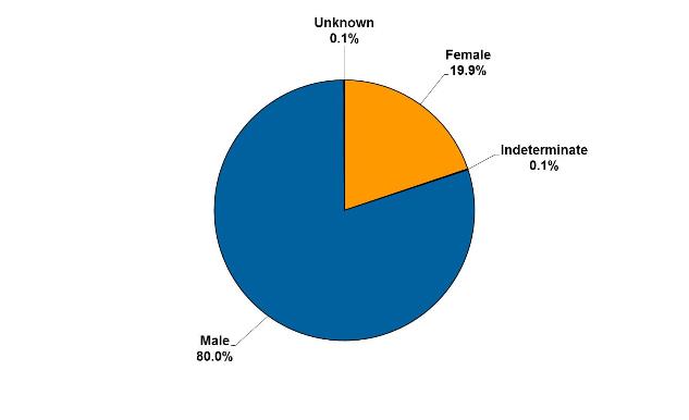 Pie graph showing gender of offenders serving community sentences and orders