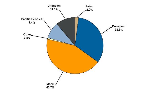 Pie graph showing ethnicity of offenders serving community sentences and orders