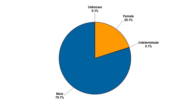 Gender of offenders as at 31 Dec 2014: 20.1% were Female; 0.1% were Indeterminate; 79.7% were Male; 0.1% were Unknown.
