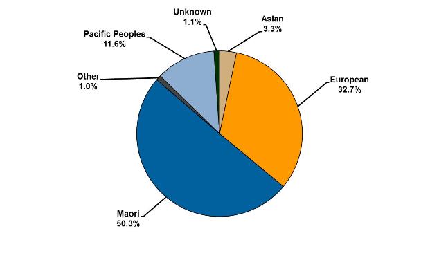Pie chart showing ethnicity of prisoners