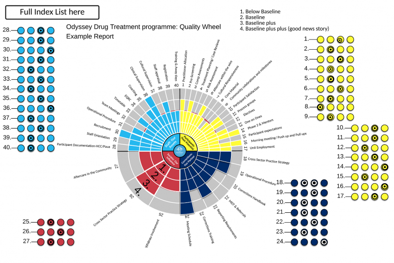 Drug Treatment Programme Quality Wheel (example report). Click on the image to view a larger image.