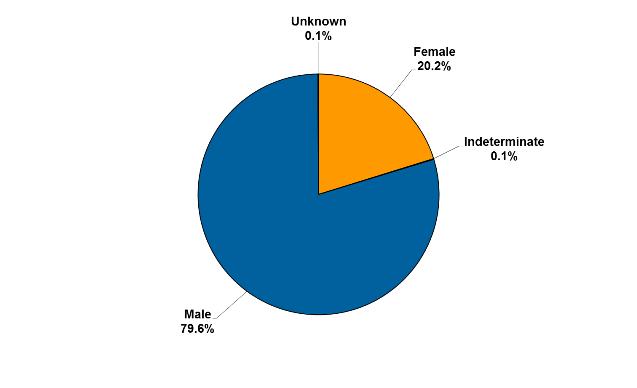 Gender of offenders serving sentences and orders