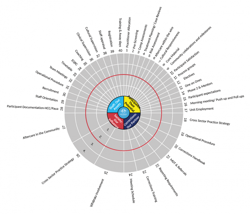 Odyssey Drug Treatment Programme Quality Wheel (2017). Click on the image to view a larger size.