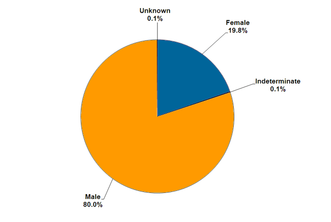 A graph showing the breakdown of the gender of offenders serving sentences and orders in the community. 