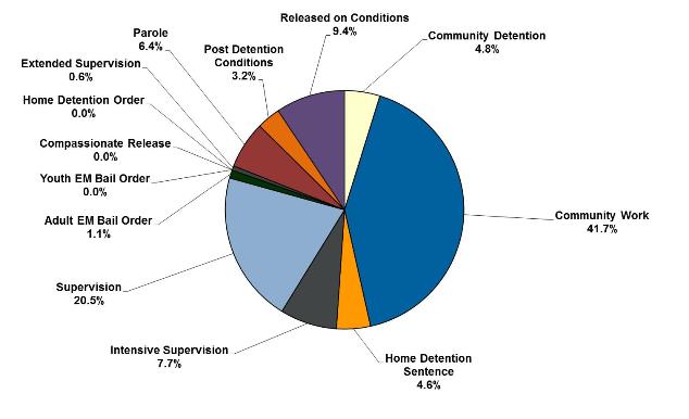 Pie graph showing proportion of different sentences and orders*