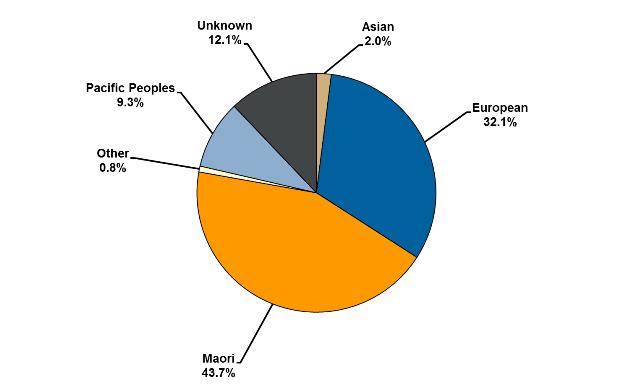 Pie graph showing ethnicity of offenders serving community sentences and orders